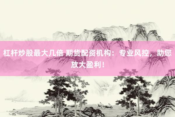 杠杆炒股最大几倍 期货配资机构：专业风控，助您放大盈利！