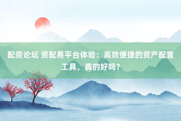 配资论坛 资配易平台体验：高效便捷的资产配置工具，真的好吗？