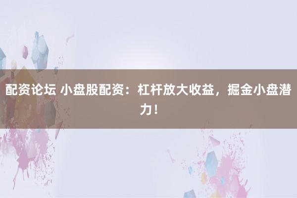 配资论坛 小盘股配资：杠杆放大收益，掘金小盘潜力！