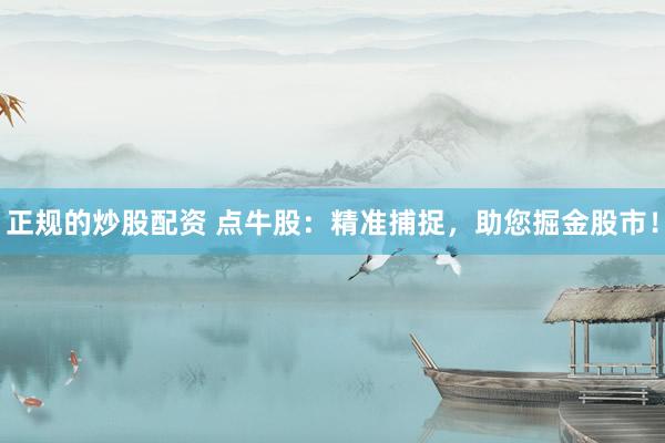 正规的炒股配资 点牛股：精准捕捉，助您掘金股市！