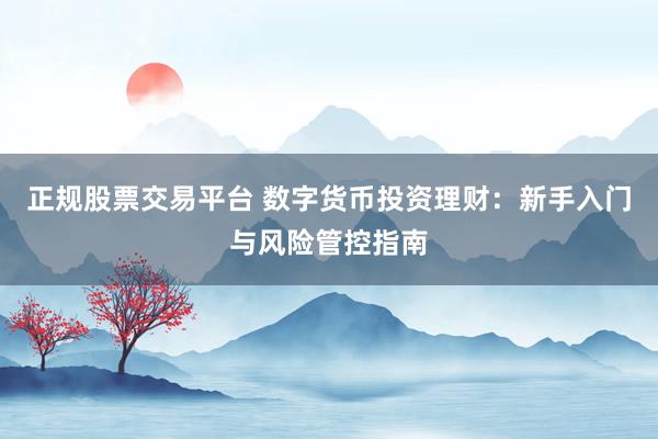 正规股票交易平台 数字货币投资理财：新手入门与风险管控指南