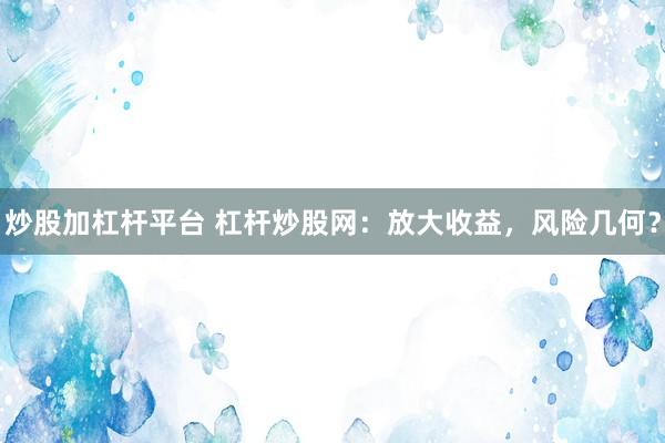 炒股加杠杆平台 杠杆炒股网：放大收益，风险几何？