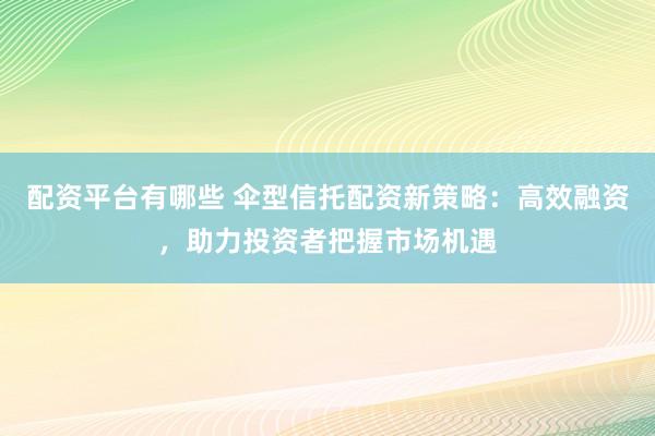 配资平台有哪些 伞型信托配资新策略：高效融资，助力投资者把握市场机遇