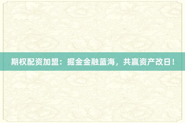期权配资加盟：掘金金融蓝海，共赢资产改日！
