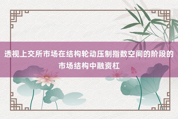 透视上交所市场在结构轮动压制指数空间的阶段的市场结构中融资杠