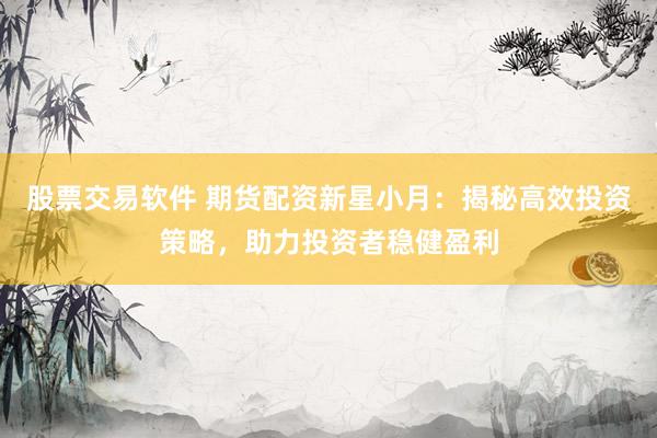 股票交易软件 期货配资新星小月:揭秘高效投资策略,助力投资者稳健盈利