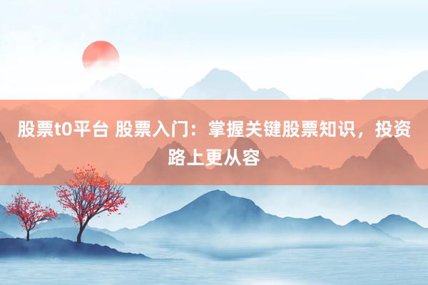 股票t0平台 股票入门:掌握关键股票知识,投资路上更从容